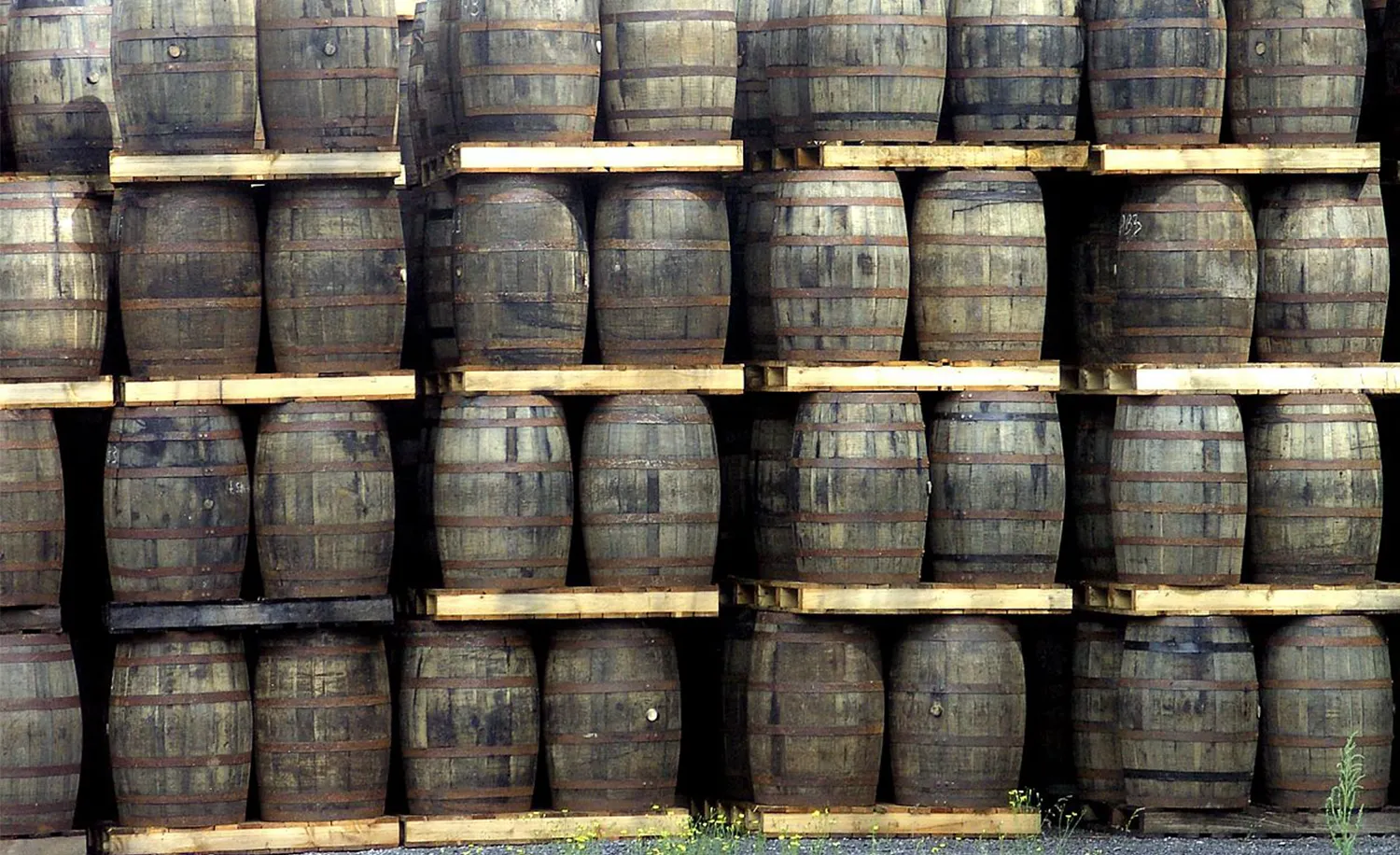 Irish whiskey exports decline by double digits in 2023