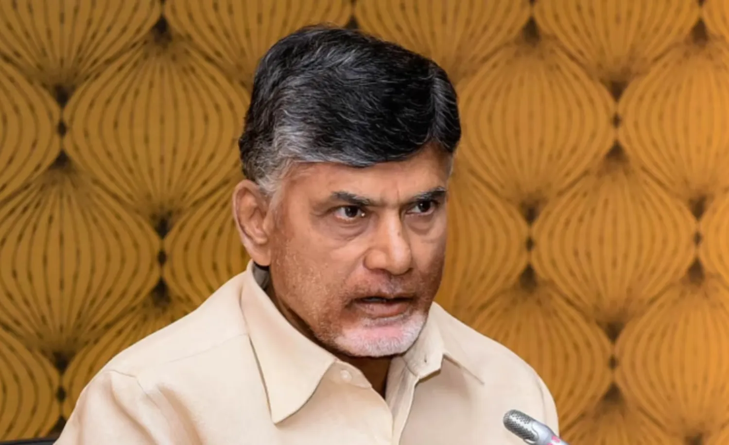 Better booze at cheaper price in Andhra : TDP’s promise